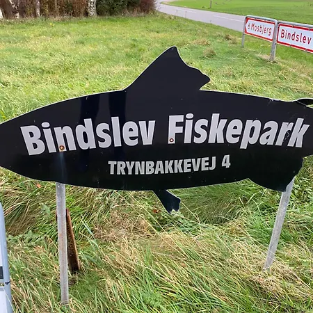Trynbakkevej 14 Bindslev