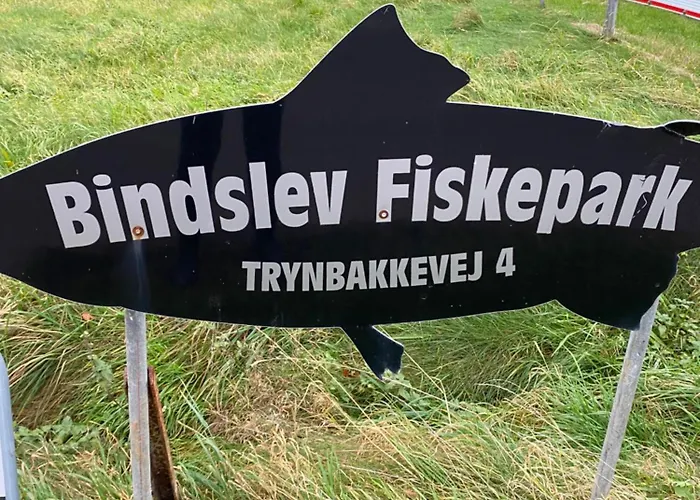 Trynbakkevej 14 Bindslev